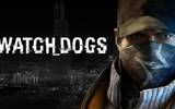 Watch-dogs